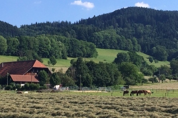 Schütterleshof Schütterleshof